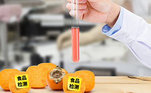 食品添加劑檢測(cè)